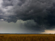 COVID Particularly Dangerous With Schizophrenia COVID Especially Risky With Schizophrenia