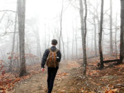 Get Out: Nature Is the Repair for COVID-19 Stress guy in woods