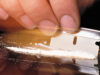 Fewer Illicit Drug Seizures Seen Throughout Lockdowns Fewer Illicit Drug Seizures Seen During Lockdowns