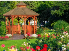 Pergola Adelaide: Transforming Your Outdoor Space pergola Adelaide